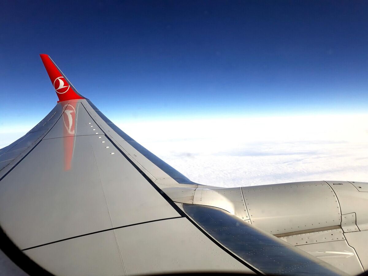    Самолет авиакомпании Turkish AirlinesCC BY-SA 4.0 / Josef Moser / Turkish Airlines