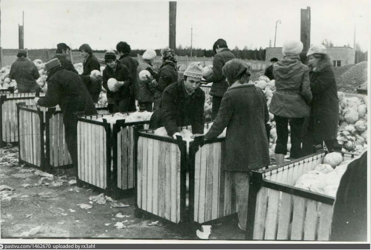 СССР-1976. Один день провинциальной жизни. Неожиданная находка в семейном  архиве. Ч.8. | Прошлое и настоящее. | Дзен