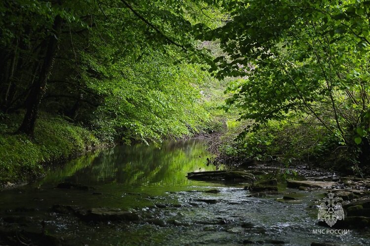 Источник: ParkInfo