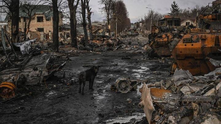 Фото: телеграм-канал Владимира Зеленского