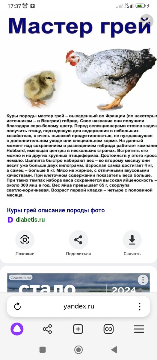 Скриншот с сайта diabetis.ru
