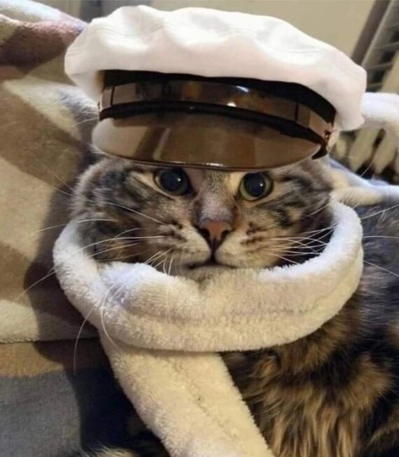 Лëд тронулся господа присяжные заседатели, лёд тронулся! Командовать парадом буду Я! (Остап Котобендер) 