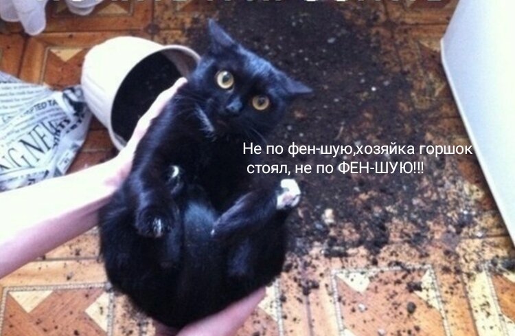 Действительно, розочки должны быть справа, а кактус слева😂