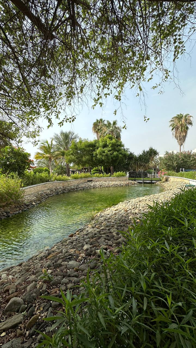 Фотографии Le Meridien Al Aqah Beach Resort 5*, автора блога от Сочи до Мальдив