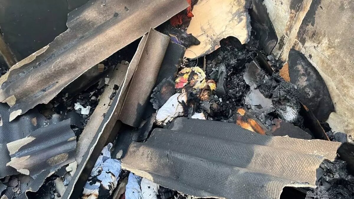     Автор: МЧС по РО