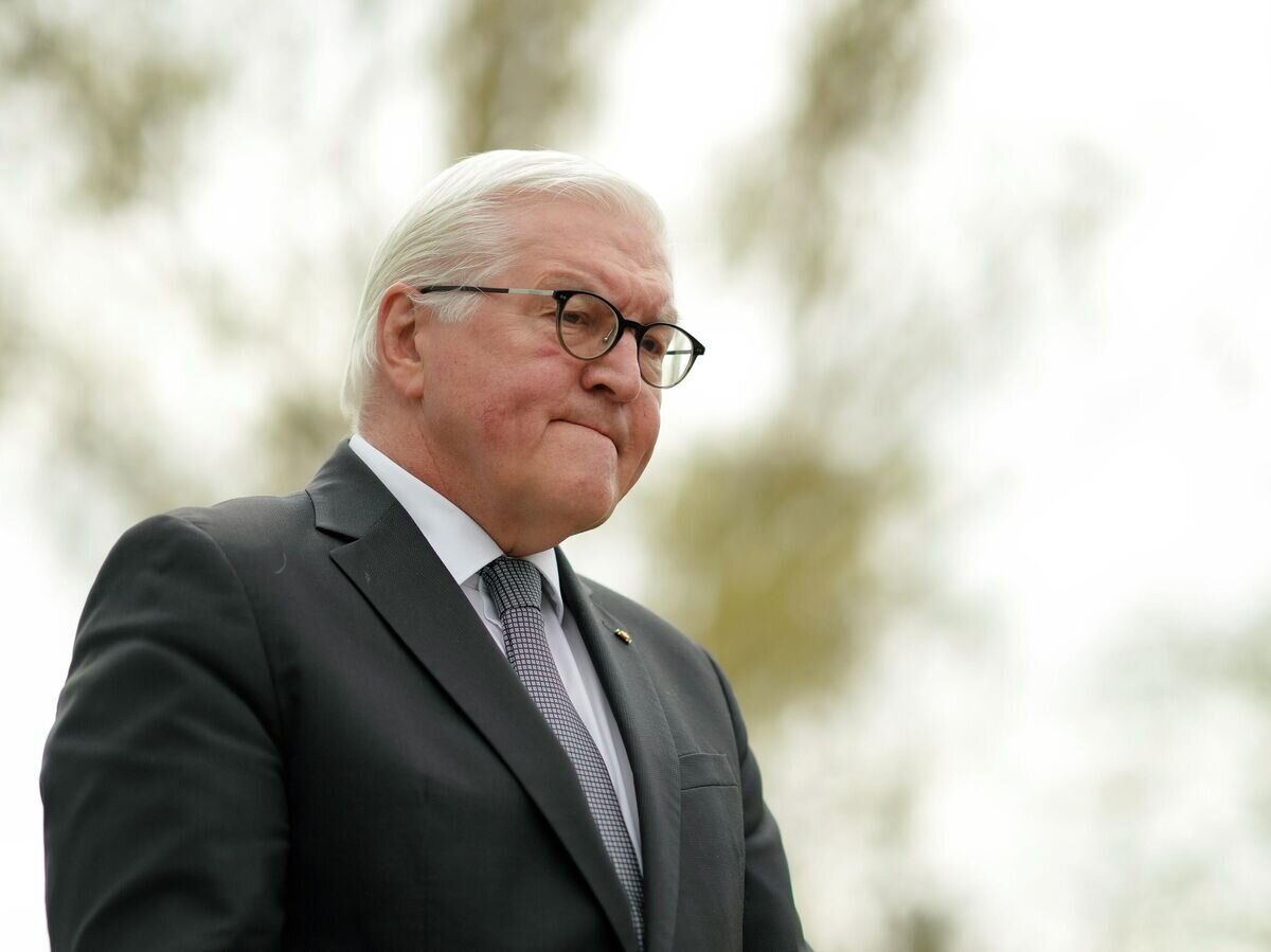    Президент Германии Франк-Вальтер Штайнмайер© AP Photo / Markus Schreiber, Pool