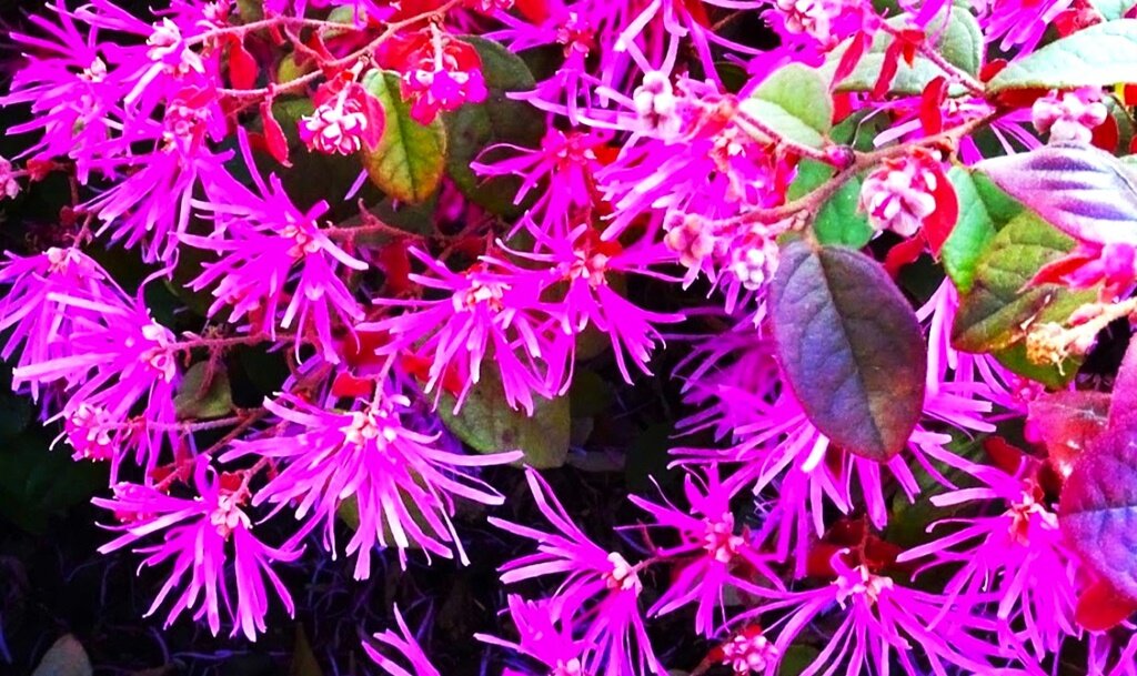 Листайте галерею для просмотра фото.