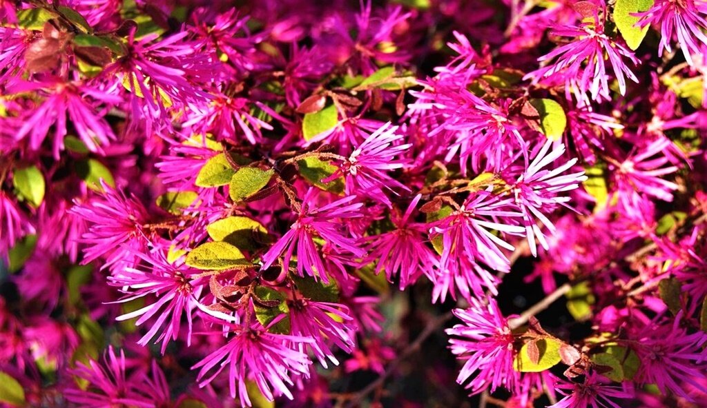 Листайте галерею для просмотра фото.