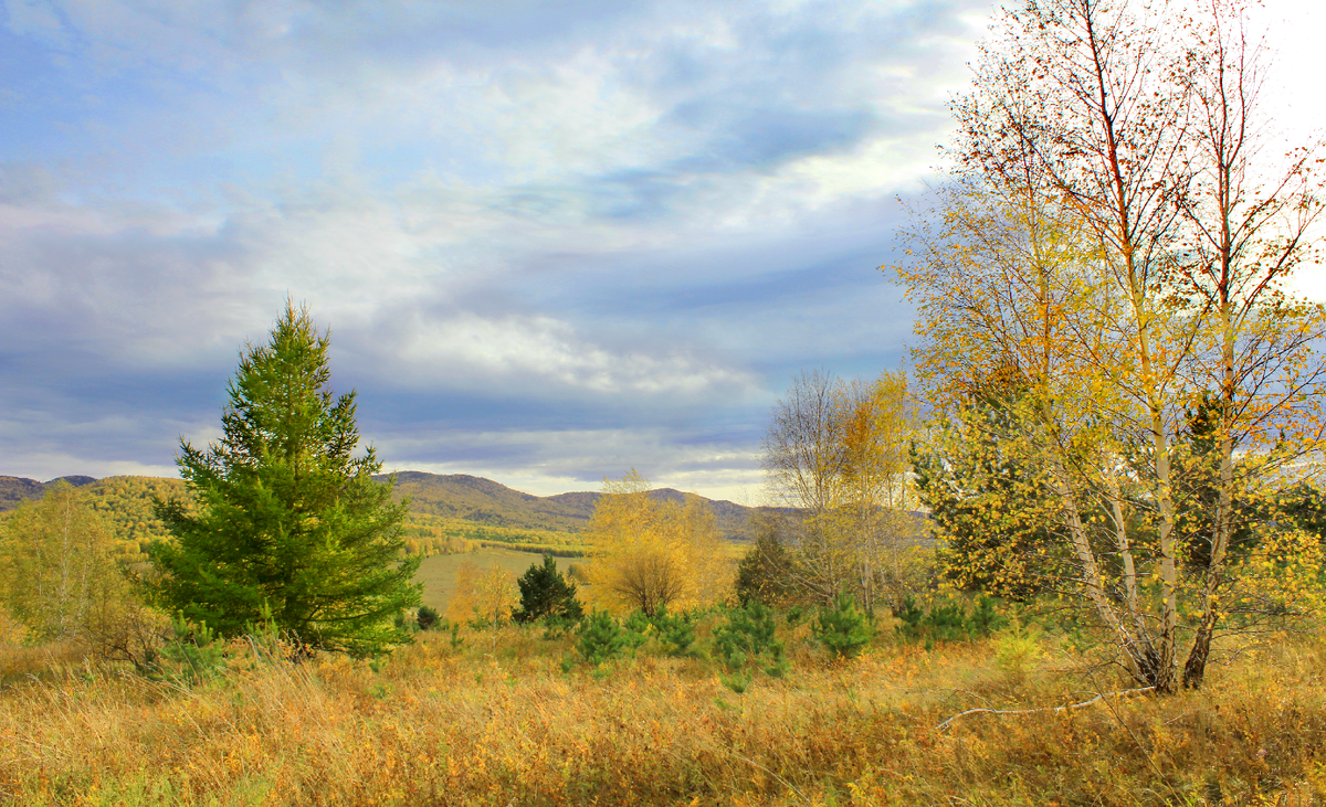 Фотография, стихотворение Василия Глуцкого