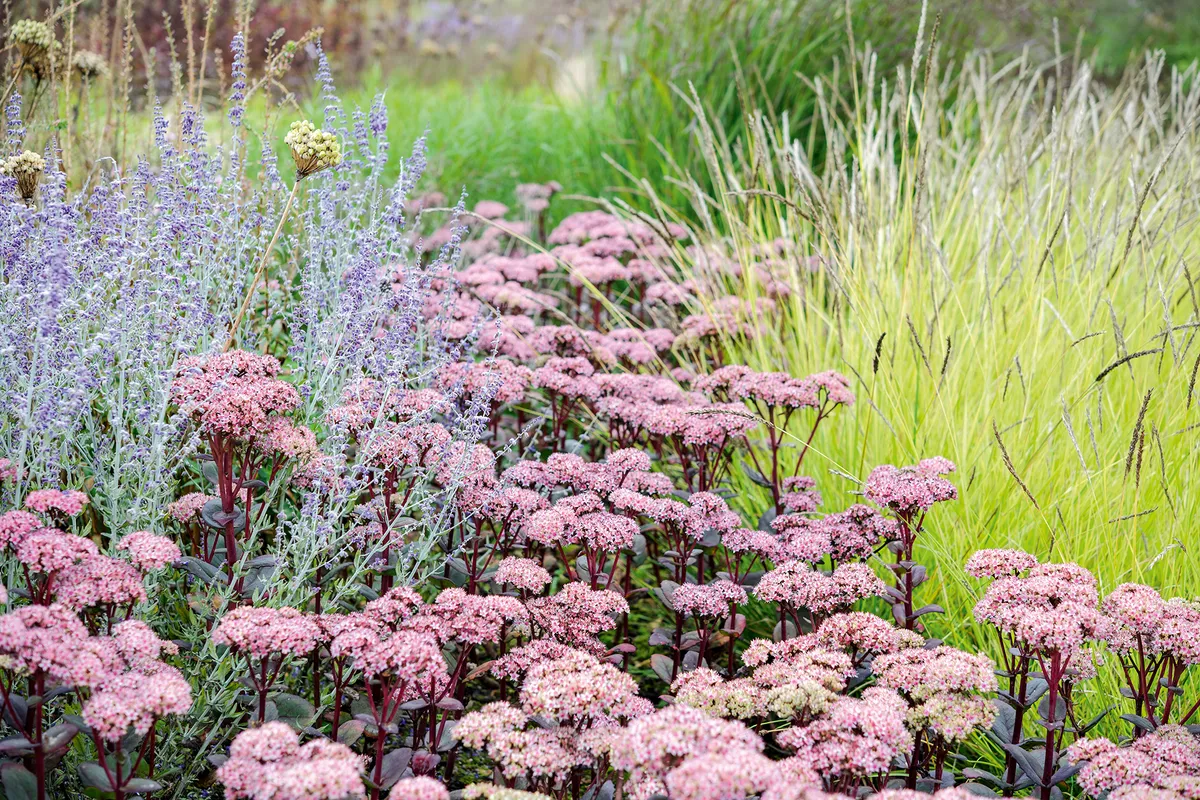 gardensillustrated.com