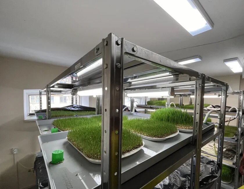 Листайте вправо, чтобы увидеть больше изображений