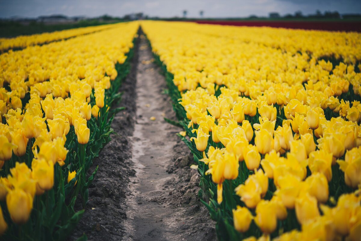 Фото с бесплатного фотостока https://unsplash.com, автор Libby Penner