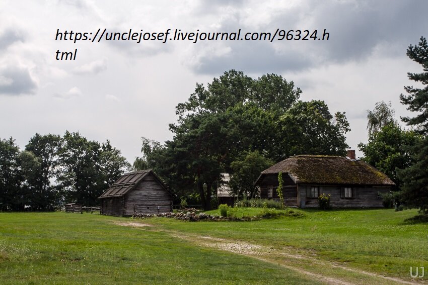 Фото из Интернет.