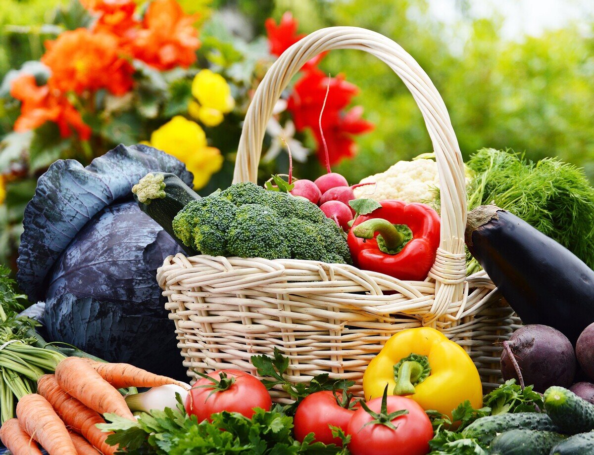 Овощи и фрукты - источник здоровья, энергии и силы