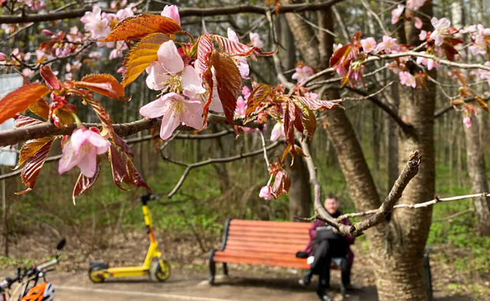    ©Агентство городских новостей "Москва"