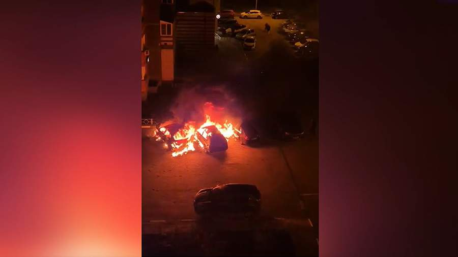 Фото: скриншот