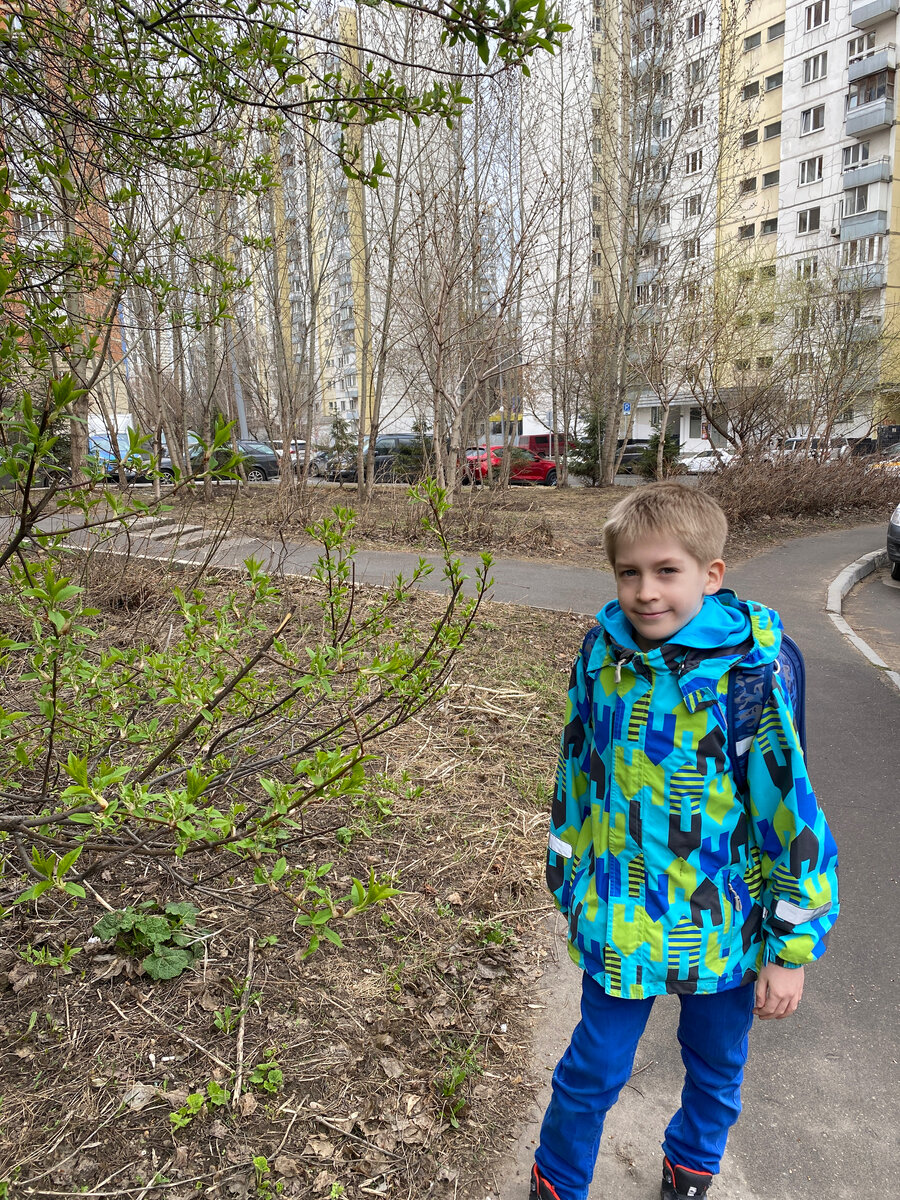 Фото автора. Обычно меня окружает такая Москва. Вместе со всей ее суетой, беготней, набитыми до отказа автобусами, пробками, сетевыми магазинами, панельными многоэтажками… Важно ввозить себя из неё, а ее - из себя ))) 