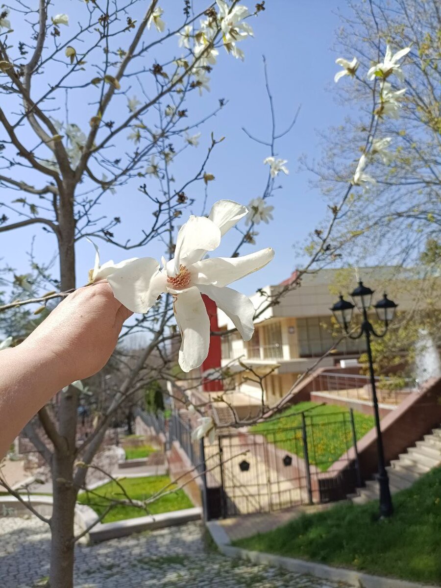 из личного архива