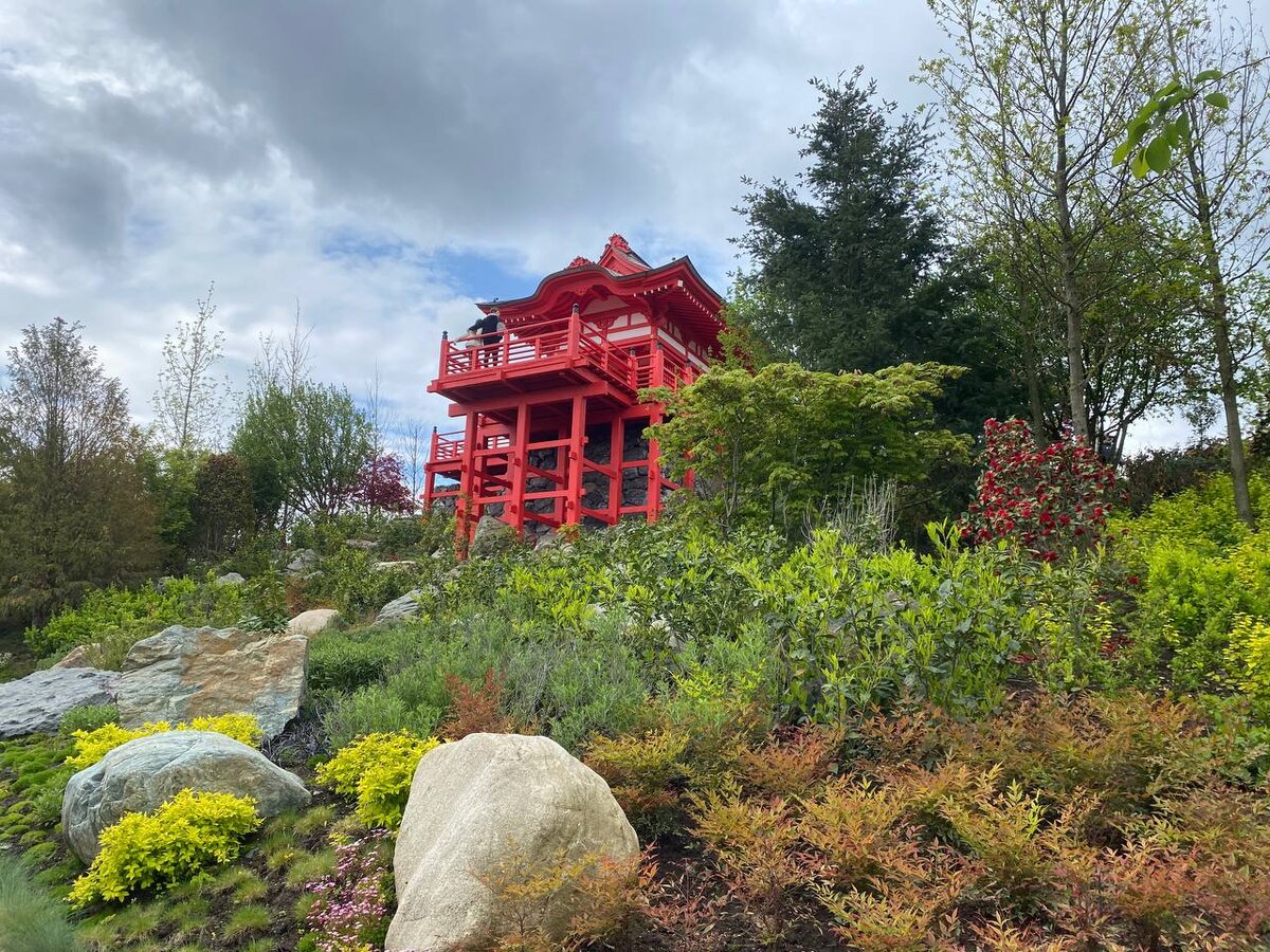 Фото автора. ©️