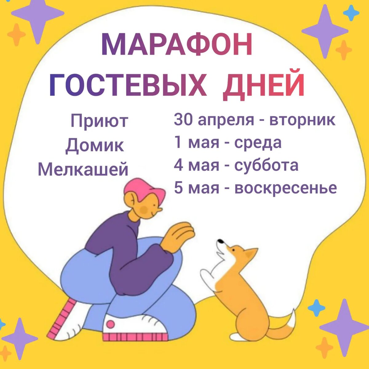 МАРАФОН ГОСТЕВЫХ ДНЕЙ! 30 апреля, 1,4,5 мая! Приезжайте за хвостатым другом💞  | Домик Мелкашей - приют маленьких собак | Дзен