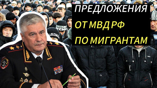 90 дней визита, оцифровка и проверка на границе: 6 предложений от МВД по мигрантам (мало не покажется)