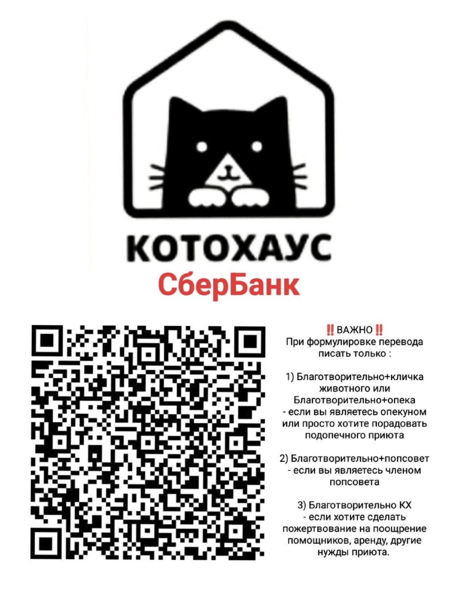 🆘Этот пост - крик души. КотоХаусу не одобрили субсидию на КУ...-2