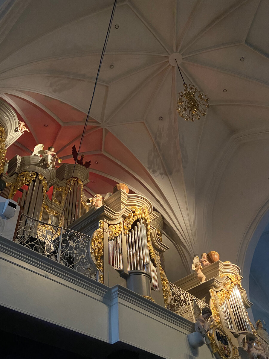 Органный комплекс 