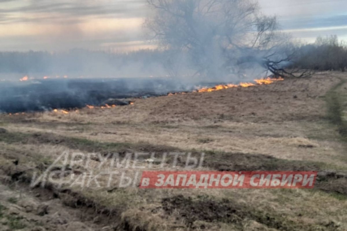    В тюменской деревне Якуши загорелась сухая трава