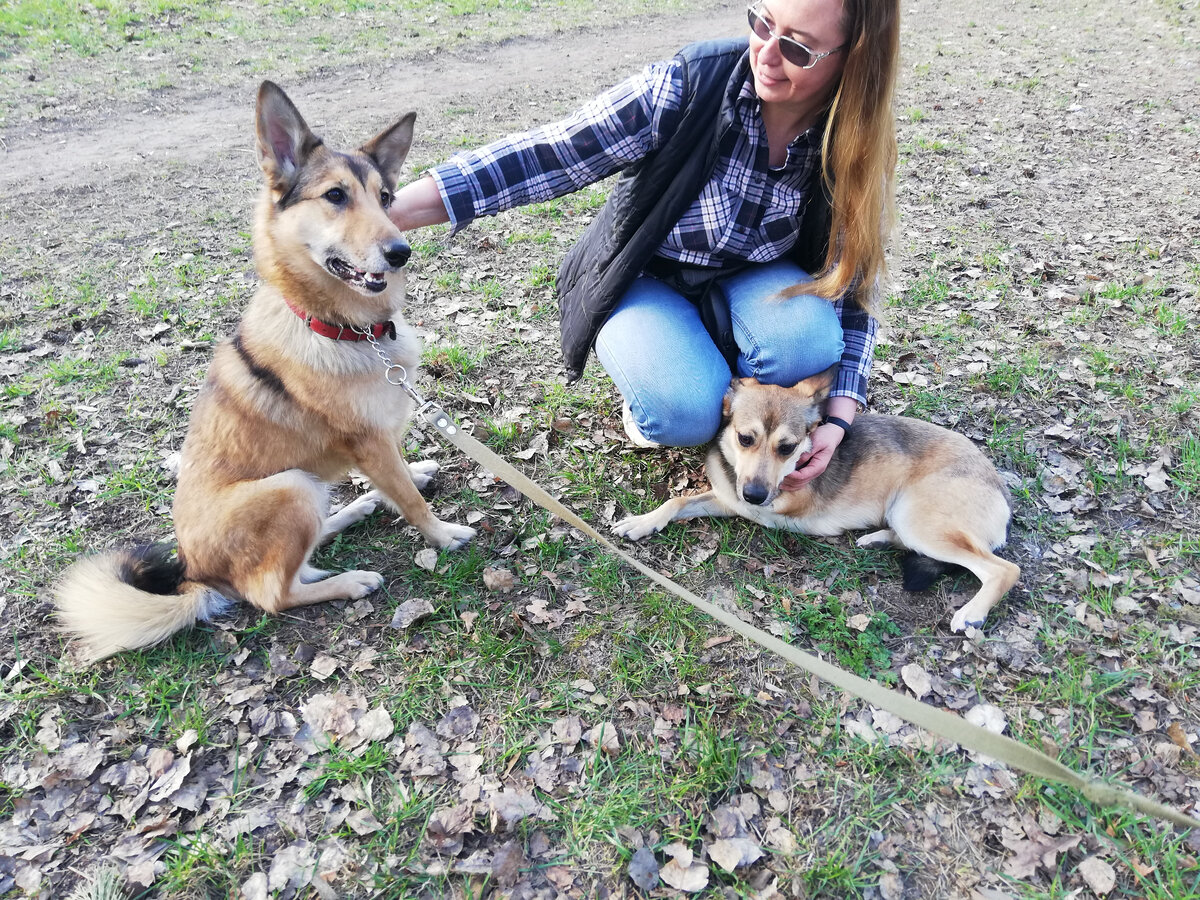 Год назад. Знакомство