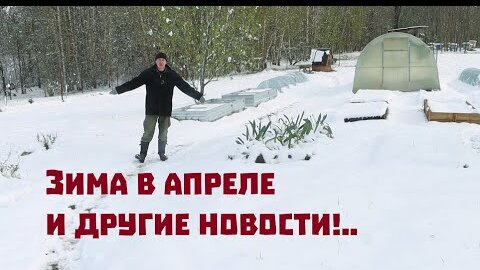 Потеряли пчёл , зато поросят и крольчат наплодилось порядочно!