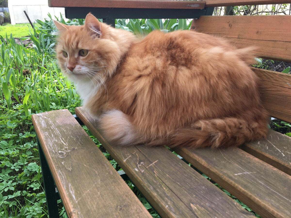 Рядом со мной на лавочке сидит Беша с одной стороны...