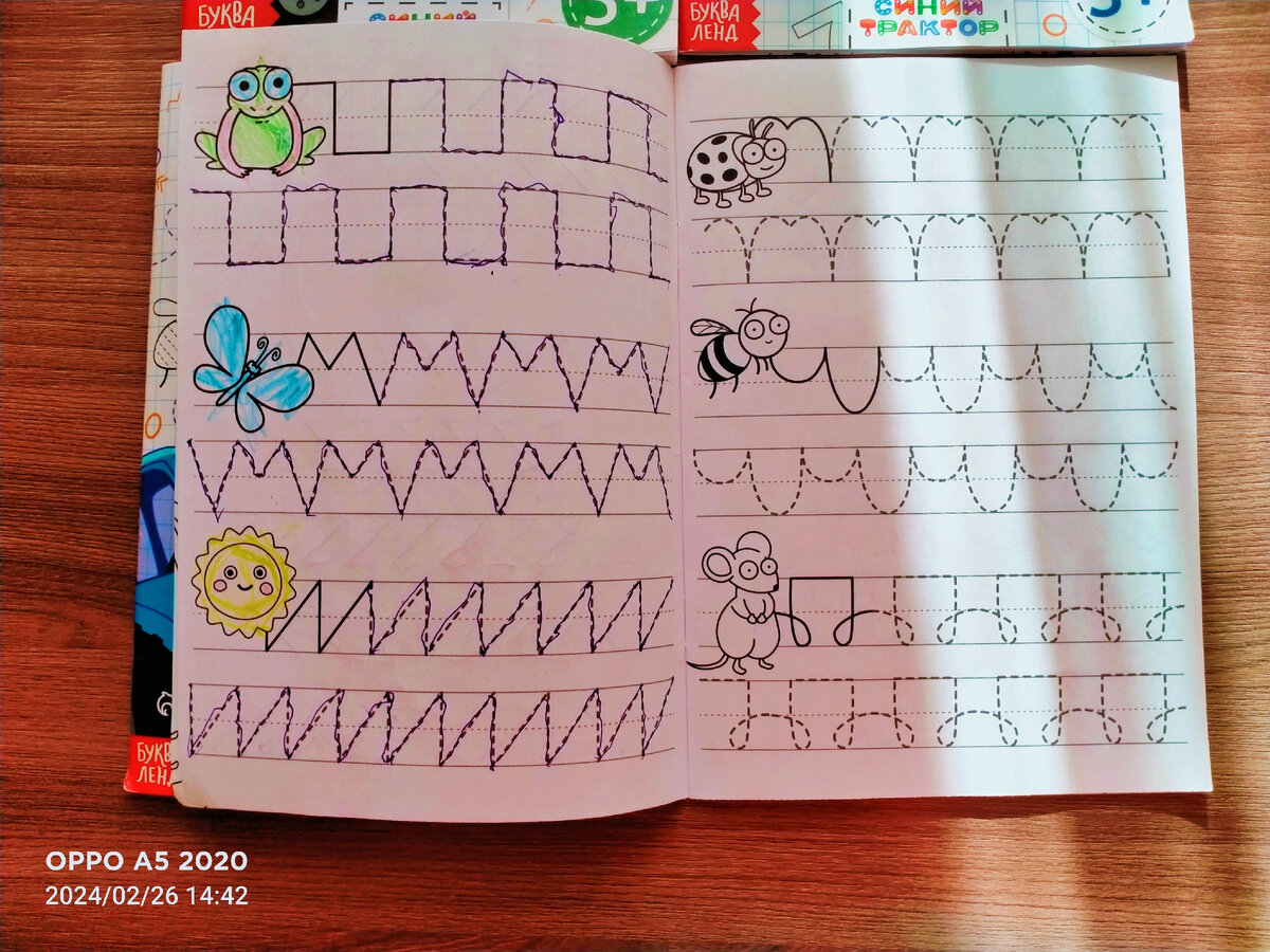 Прописи пишем дома