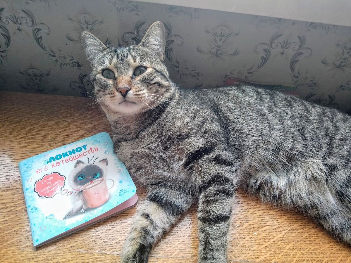 Это наш Флинт. Глистогонится раза полгода