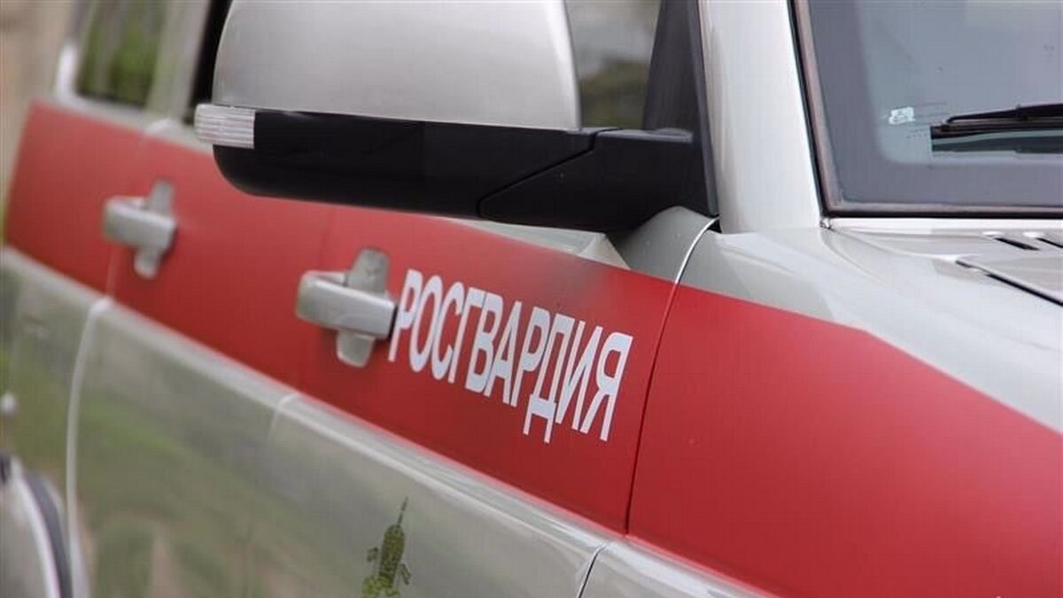    В Курске росгвардейцы задержали пьяного дебошира в больнице