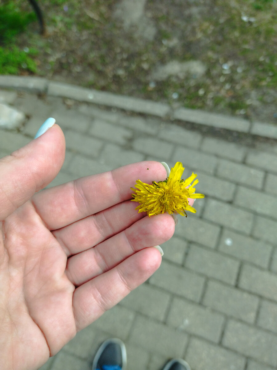 Младшенькая подарила цветочек, чтобы мама не грустила😥