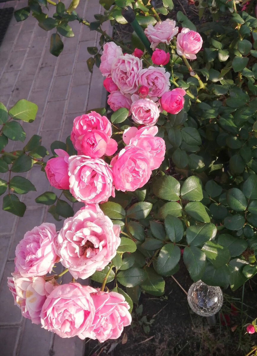 фото Наталии