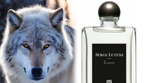 Волчица серж. Парфюм serge lutens. Зеленоглазая волчица. Принцесса мононоке волчица. Волчица серж лютенс духи.