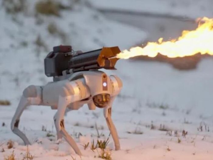 Источник фото: Throwflame/SWNS