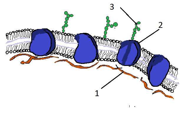 Рис.1 к заданию 1.