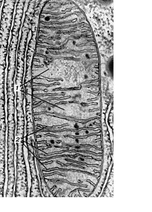 Рис. 2. к зад. 2