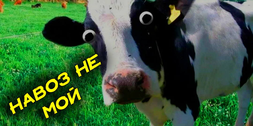 Теперь шраф за навоз до 600 тысяч руб. В РФ подписан новый закон о неправильном обращении с навозом