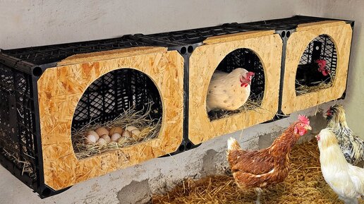 Делаем идеальное куриное гнездо из пластикового ящика и дерева
