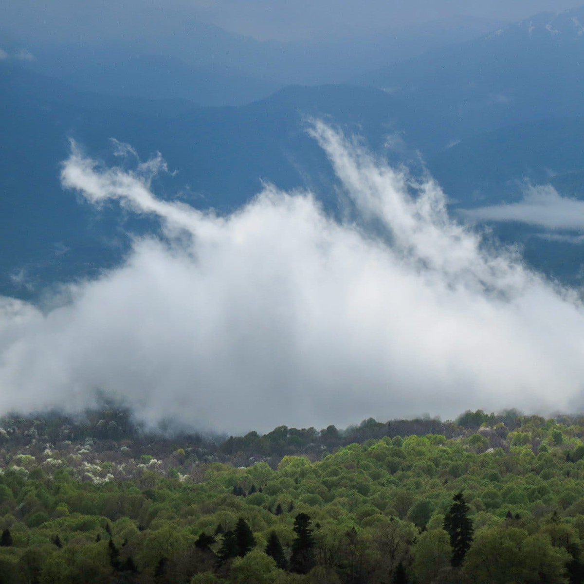 Азишская панорама 