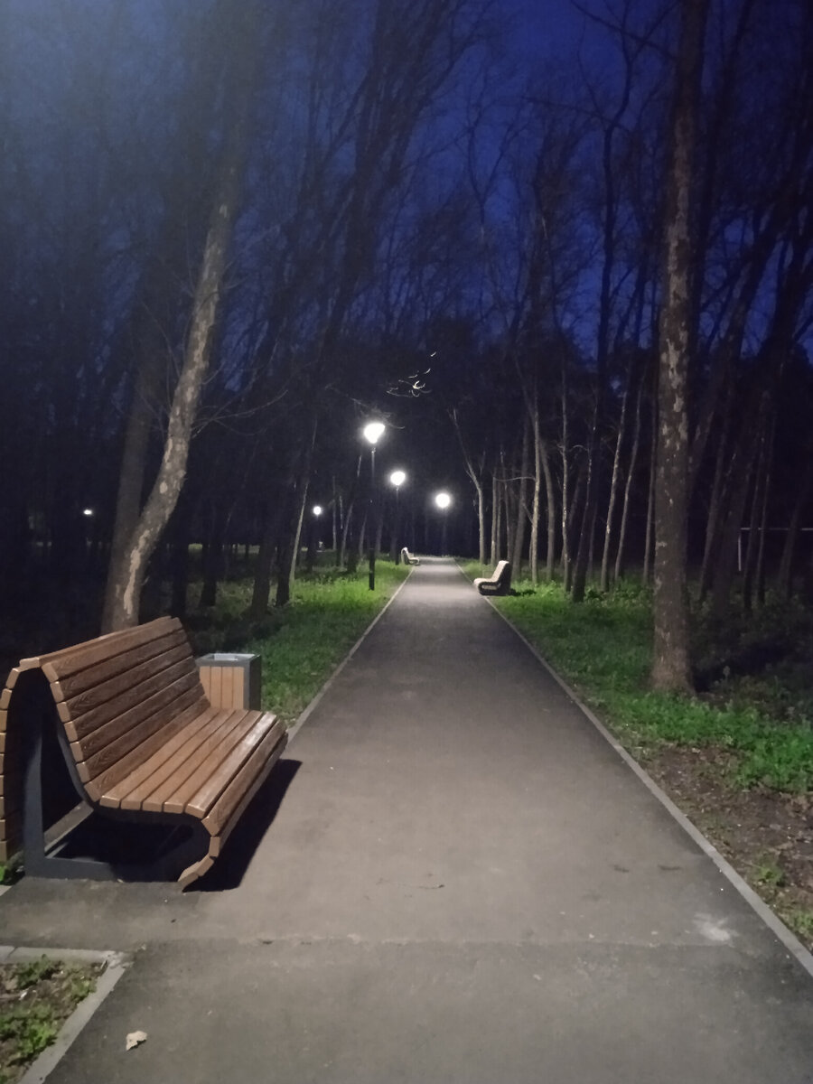 Вечерние аллеи. 