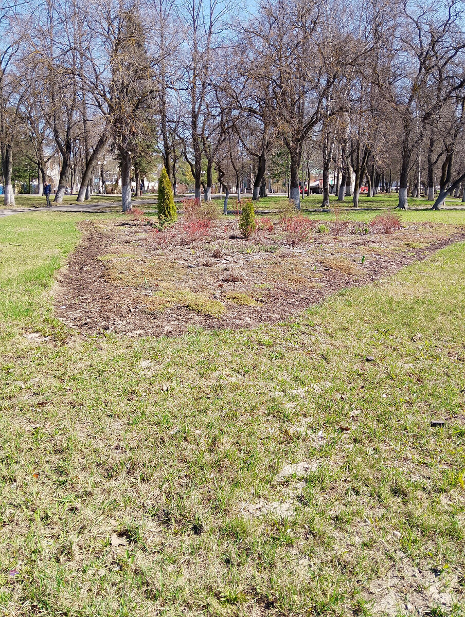 Сквер на площади Революции - центральной площади города, фото автора