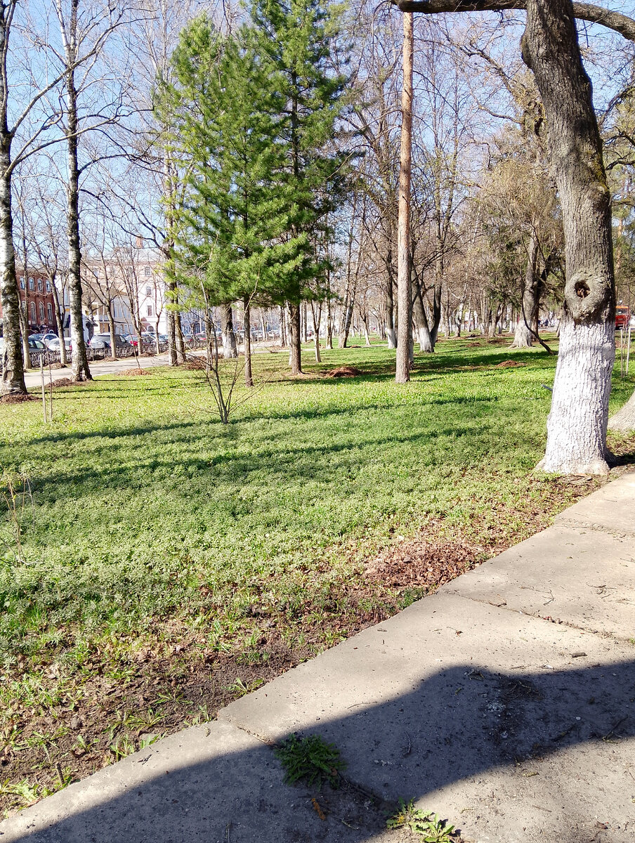 Сквер на площади Революции, другой ракурс, фото автора