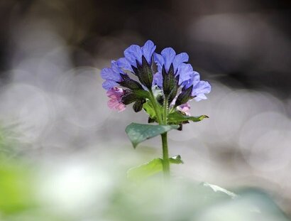 Изображение из открытого источника. Unsplash