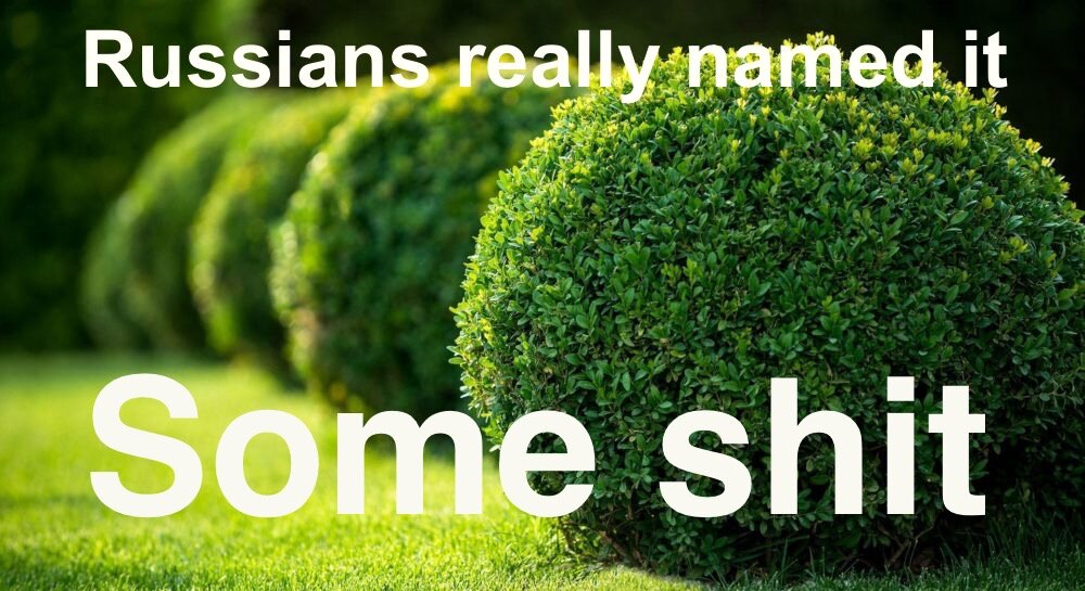 «Русские реально назвали это немного дерьма». Фотография из открытого источника, коллаж автора. 