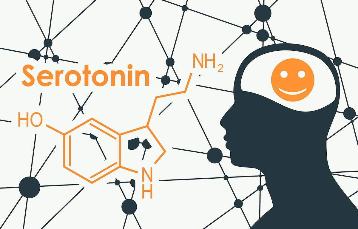 Серотонин - нейромедиатор, который обеспечивает передачу сигналов между нервными клетками. Он присутствует в головном мозге, клетках крови (тромбоцитах) и кишечнике.-2