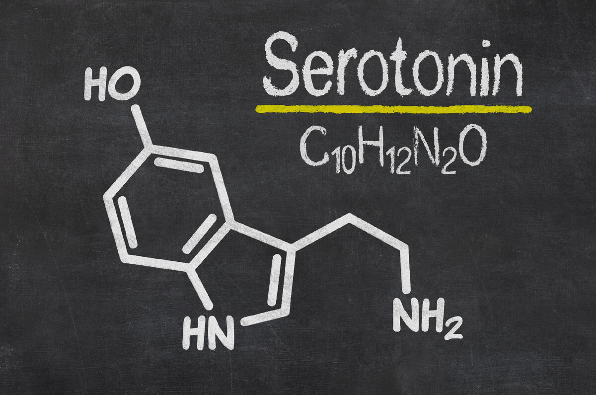 Серотонин - нейромедиатор, который обеспечивает передачу сигналов между нервными клетками. Он присутствует в головном мозге, клетках крови (тромбоцитах) и кишечнике.